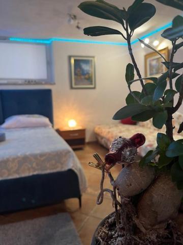Taverna Coctel Poreč Zewnętrze zdjęcie